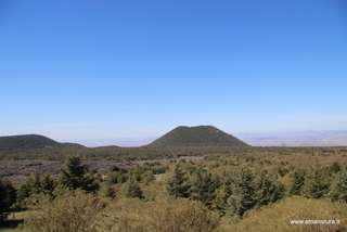 nte Egitto-29-04-2023 09-16-44